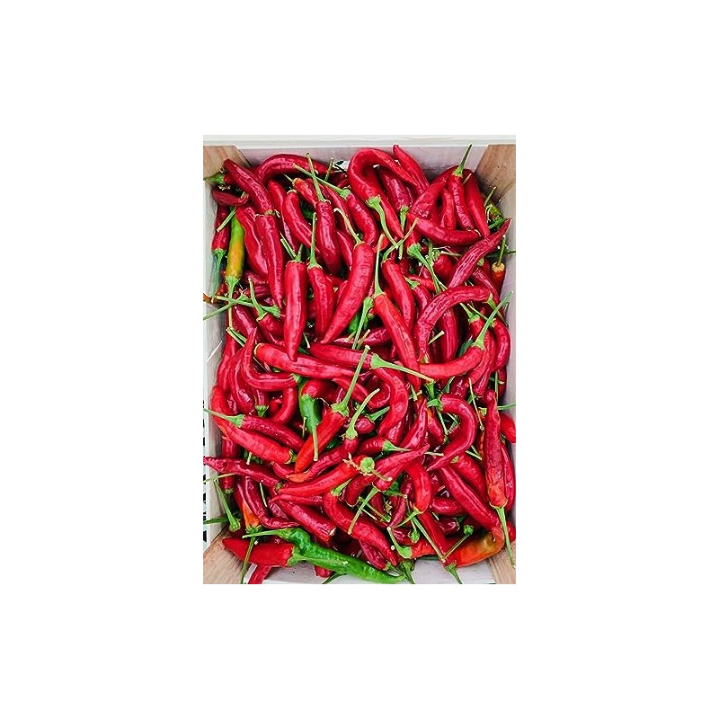 Chili Peppers Peperoncini Preserved in EVOO - Maida Farm, Campania,