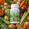 Wellies 1 Daily Vegetarian Vegetable Alpha 120 tablets / 매일채식