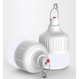 HSHINE Rechargeable LED Light Bulb with USB Charging – Multi-Functional Emergency Bulb for Power Outages, Camping, and Fishing – Charges Mobile Devices (WHITE-USB-150W)