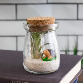 3 Inch Mini Glass Jar Happy Hedgehog DIY Terrarium Kit with Live Tillandsia Ionantha Air Plant and Accessories for Indoor Gardens and Home Decor