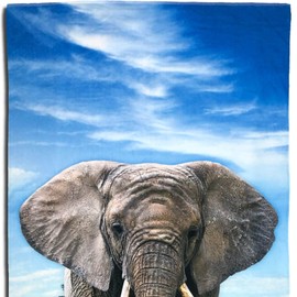 ESPiCO Beach Towel Bath Towel Elephant Animal Africa Safari Desert Quilted 100 cm x 180 cm