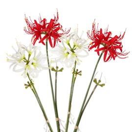 siawadeky Artificial Flowers, Set of 4, Artificial Flowers, Strait Flowers, Red and White, Garlic Bouquet, Non-Withering Flowers, Artificial Ornaments, Home Decoration, Figurine, Photography, Present,