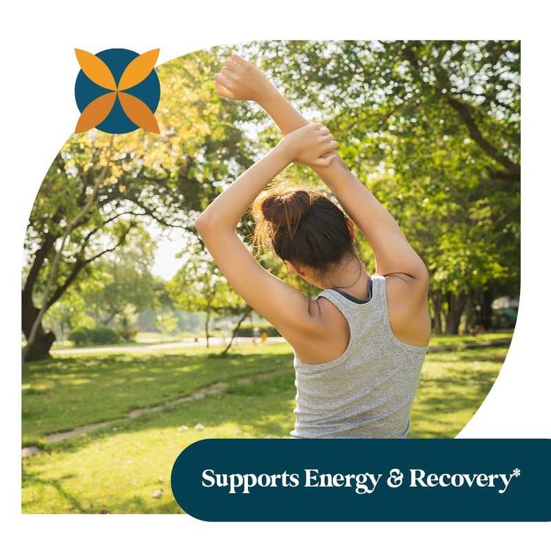 Pattern Wellness Ashwagandha Complex for Men & Women – Organic