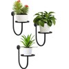 Wall Planters for Indoor Plants, Mounted Holder Shelf 3 Pack,