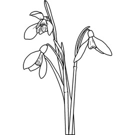 'Winter Snowdrops' Rubber Stamp - Unmounted Design for Crafting & Scrapbooking, A7 (RS00043628)