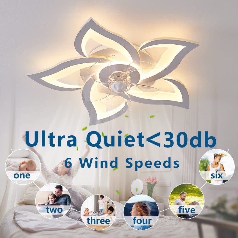 Dalouguan Flush Mount Ceiling Fan with Lights, 24" White ,Remote