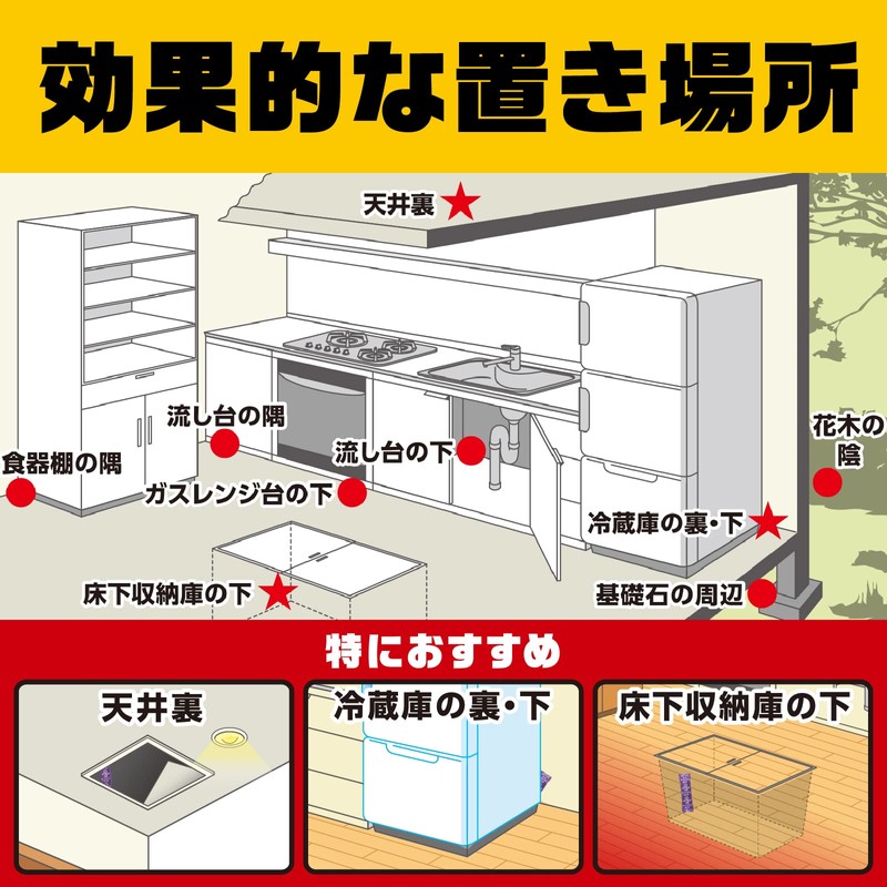 Dethmor Pro Rat Exterminator, Toss Type, Granules, 0.2 oz (5