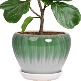 Deep Dream 10 Inch Plant Pot- Ceramic Planter Pot Round Plant Pots for Indoor Plants Outdoor Large Flower Pot with Drainage Holes & Trays, White&Green