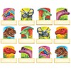Discovering Dinosaurs® Mini Accents Variety Pack
