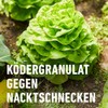 COMPO Snail Free – Snail Grain – Rainproof – Spreading