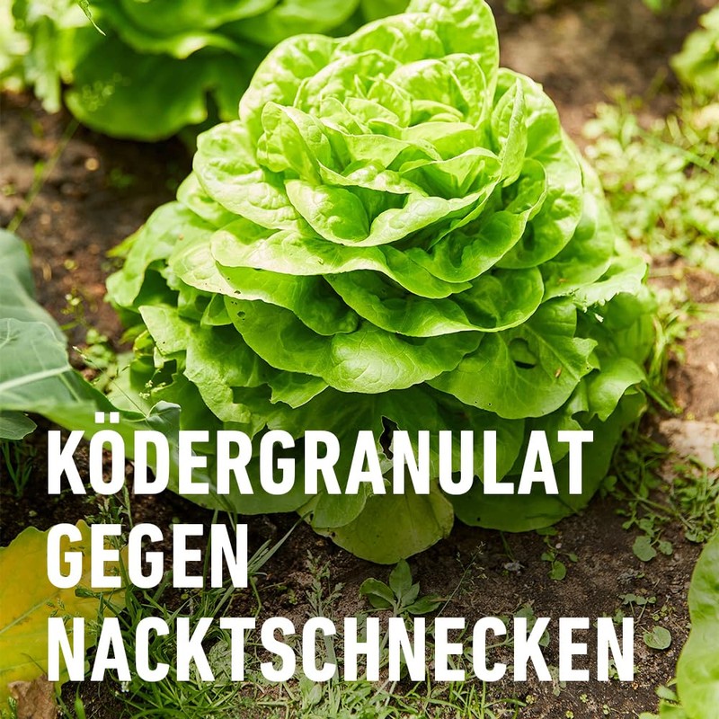 COMPO Snail Free – Snail Grain – Rainproof – Spreading