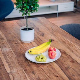 Flanacom decorative bowl, tray, modern table decoration for your home.