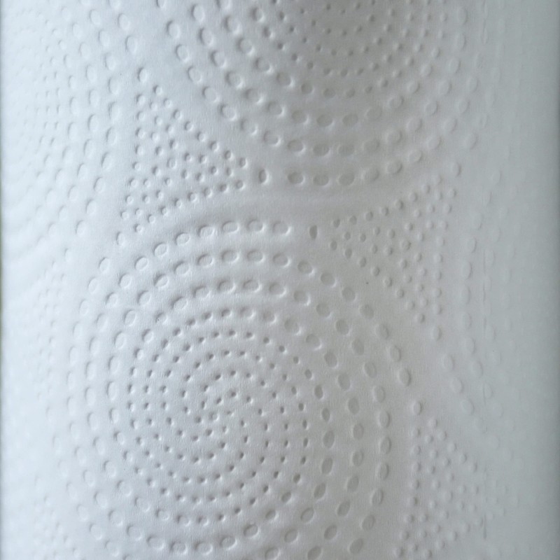 Genuine Joe-GJO24080 2-Ply Household Roll Paper Towels (Pack of 30)