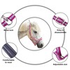 Adjustable Horse Headcollar, Training Halter, Heavy Duty Nylon Padded with