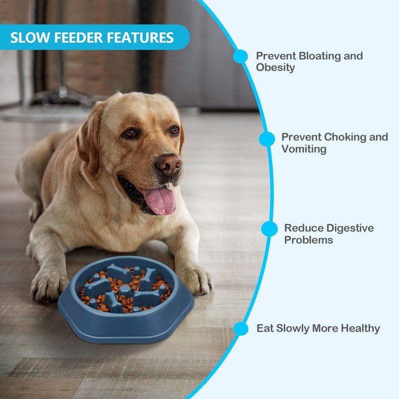 UPSKY Slow Feed Dog Bowl Anti-Choking Slower Eating Puzzle Bowl