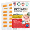 프로폴리스 코랄 이가포르테 60정 치아 뼈 칼슘 영양제 Propolis Coral