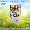 Uiaoiais Plug in Night Lights Oil Painting Tiger in Jungle