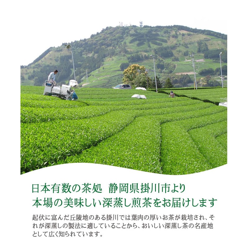 Shizuoka Prefecture First Picked Ichiban Tea 100% Green Tea Leaf