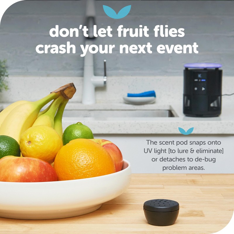 Katchy Duo Indoor Insect Trap with Scent Pod - Fan