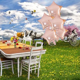 5Pcs Rose Gold 18 Inch Foil Star Heart Balloons,Natural Latex Balloons for Men Women Girl Birthday, Valentines Day,Propose Marriage,Wedding, Bridal Shower, Graduation, Casino Theme Party Decorations