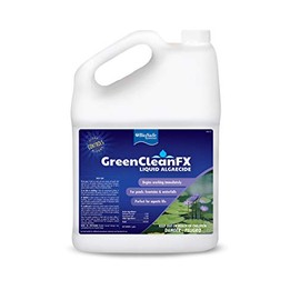GreenCleanFX Liquid Algaecide - 1 Gallon (Case of 2)