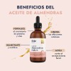 Aceite De Ricino Puro Aceite De Almendras Dulces 100ml Cu