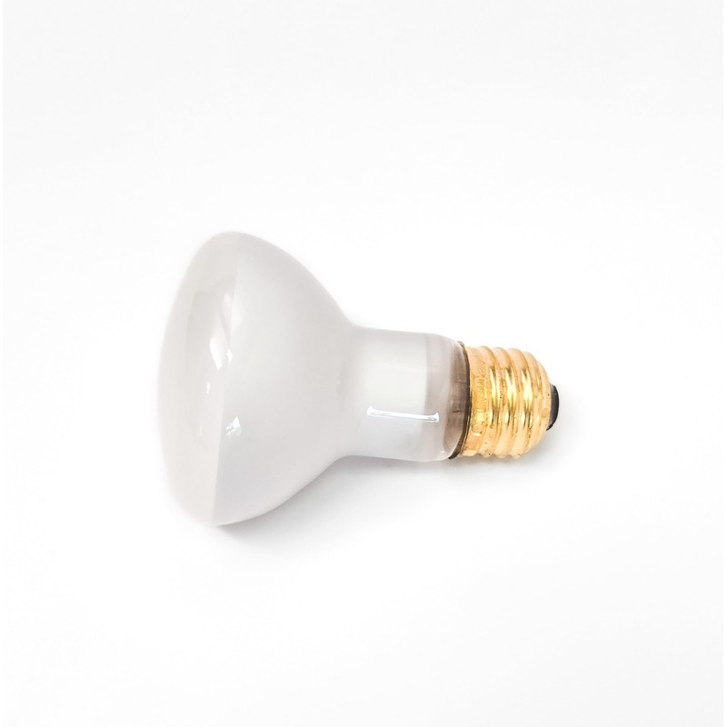 100W Lava Lamp Light Bulb 100 watt 125 Volt R