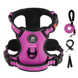 IVY&LANE No Pull Dog Harness for Small Dogs, Dog Vest Harness with Leash, Safety Belt and Storage Strap, Fully Adjustable Harness, 360° Reflective Strip, Soft Handle (Fuchsia Pink,S)