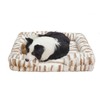 Baby beast Dog Beds,SurroundWaterproof Memonry Foam XL Big Dog Bed,Plush,Non-Slip