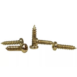 C. B. Gitty 100pc. #2 x 3/8ths-inch Brass-plated Phillips Round Head Screws
