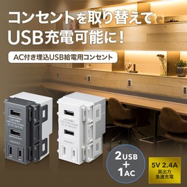 Sanwa Supply TAP-KJUSB2AC1GY Embedded USB Power Outlet with AC Gray