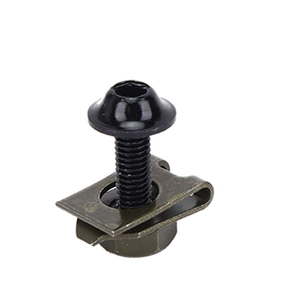 Kawasaki ZZR 1100 D Bolts, M5 Fairing Screws, 10 Pieces