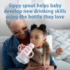 Dr. Brown's Milestones Narrow Sippy Spout Bottle with 100% Silicone,