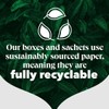 PG Tips | Green Tea Bags Bulk | Individually Wrapped