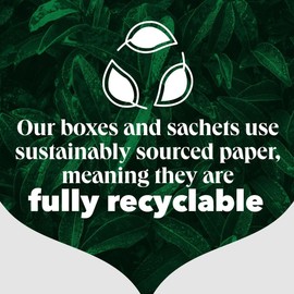 PG Tips | Green Tea Bags Bulk | Individually Wrapped Tea Bags | String & Tagged | Smooth & Refreshing | 6 Packs | 150 Plant Based Biodegradable Envelopes