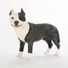 Conversation Concepts Pit Bull Terrier Figurine