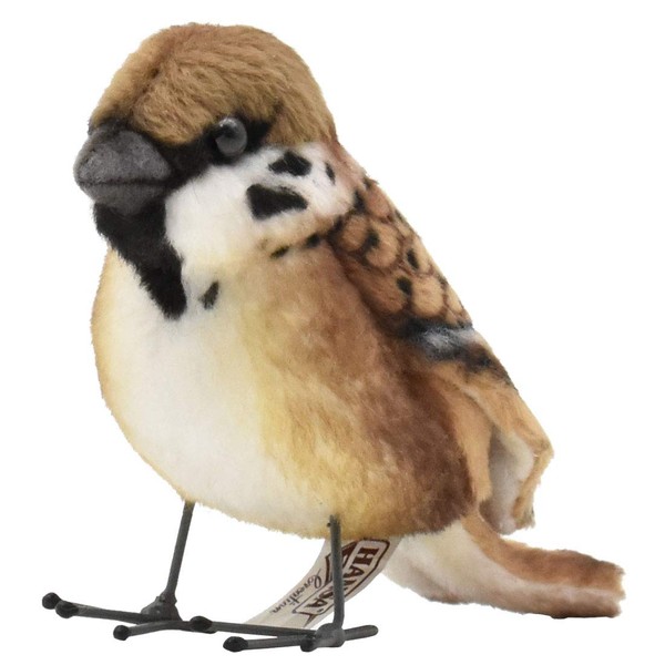 Sparrow BH7019