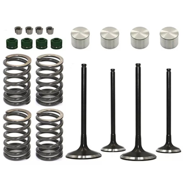 Unbranded Intake Exhaust Valves Tappet Spring For Arctic Cat DVX400