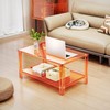 solaround Acrylic Coffee Table with Storage Shelf,Rectangle Living Room 2-Tier