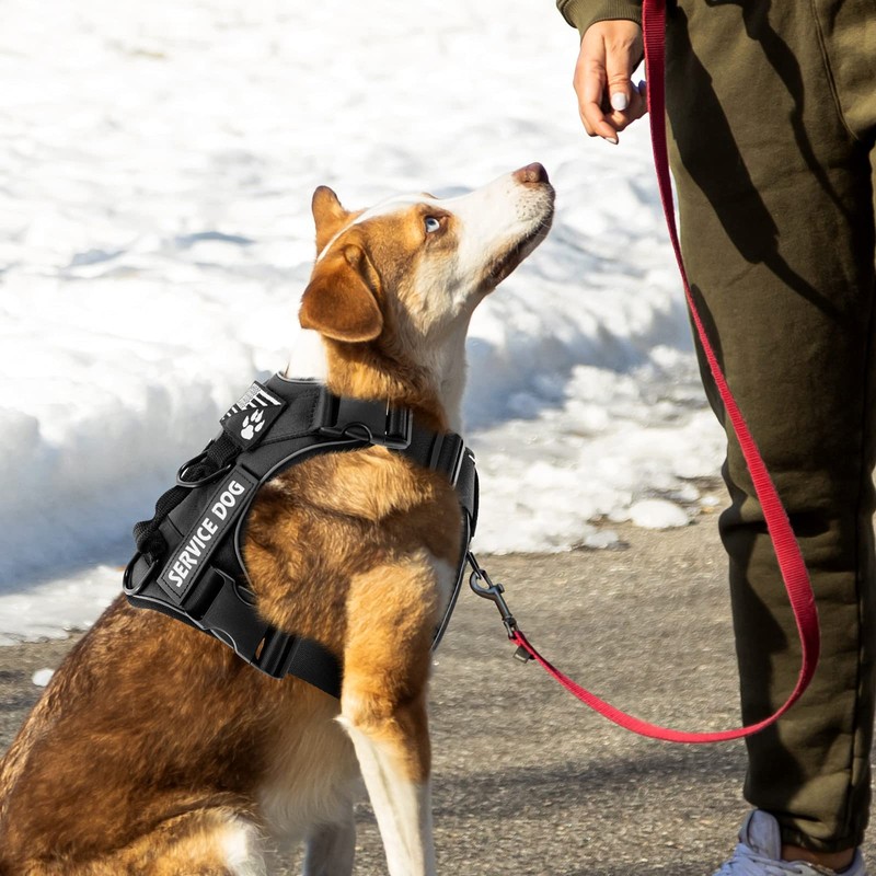 Demigreat Service Dog Harness, Reflective Dog Vest Harness with 5