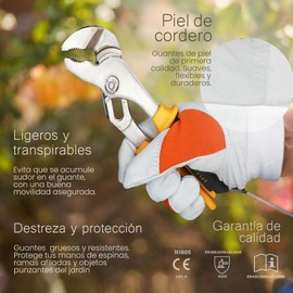 EXBRIECO, 1, 3, 6 or 12 Pairs, Work Gloves, EPI, Lambskin Gloves, Abrasion Protection, Ripping, Safety Occupational Risks Mechanical, Thermal, Gardening, Construction.