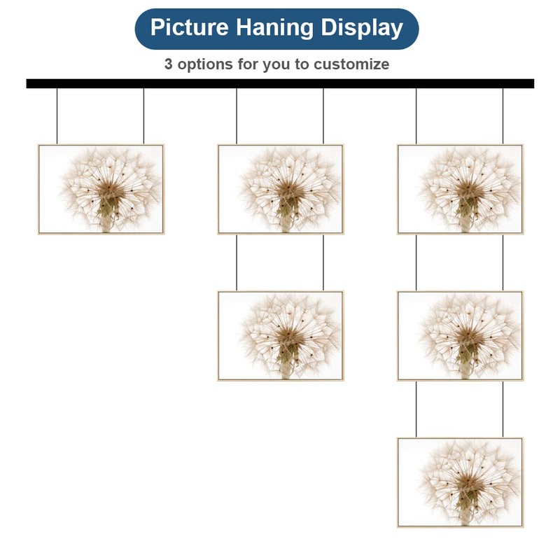 Adjustable Picture Hanging Wire Kit, 4.9ft (1.5m) Picture Rail Hanging