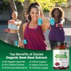 Zazzee USDA Organic Beet Root 20:1 Extract, 60 Vegan Quick