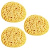 Benaewa 3 Pcs Natural Sponge, Shower Sponges for Men, Women,