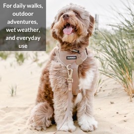 DJANGO Tahoe No Pull Dog Harness – Comfortable, Durable, & Padded Dog Harness with Front & Back D-Rings – Adjustable & Secure Harness for Outdoor Adventures & Everyday Use (Sandy Beige, Medium)