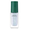 NAIL HOLIC Limited Color WT058 Snowflake 0.1 fl oz (5