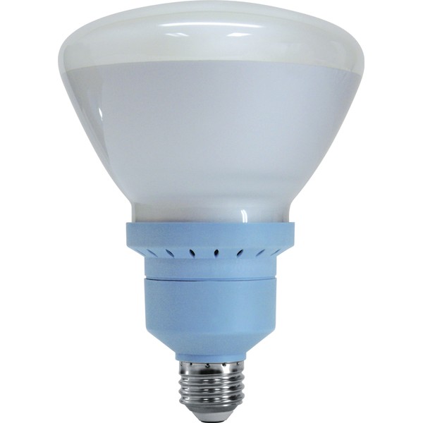 GE Lighting 67467 Reveal CFL 26-Watt (100-watt replacement) 1100-Lumen R40 Floodlight Bulb with Medium Base,