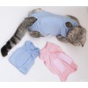 Lismyakey Cat Surgery Recovery Suit for Surgical Abdominal Wounds Home