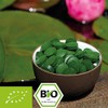 ASPER MHLE Bio Chlorella pyrenoidosa Tabletten - 1 kg zu