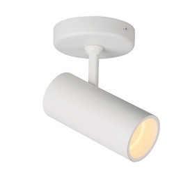 Aisilan LED Monopoint White Ceiling Spot Light Adjustable Angle Anti Glare Indoor Spotlight Lamp 12W 3000K CRI 97 for Painting Home Hallway Living Room Art Lighting